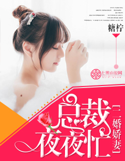 二婚娇妻:总裁夜夜忙