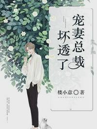 宠妻总裁坏透了(沐暖暖慕霆袅)