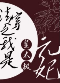 清穿之我是皇太极元妃
