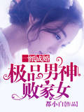 一纸成婚:极品男神败家女