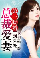 第一暖婚,总裁爱妻到深处
