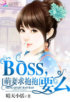 萌妻求抱抱:BOSS,要么