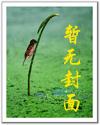 征战大明