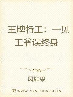 王牌特工:一见王爷误终身